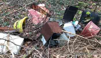 Templemore driver threw bag of rubbish into forest - Tipperary Live