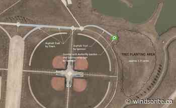 Healing Hearts Forest Proposed For The Vollmer Property - windsoriteDOTca News