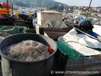 Fermo biologico, Coldiretti: “Proposte migliori del previsto, ma bisogna rivedere il sistema” - CittaDellaSpezia