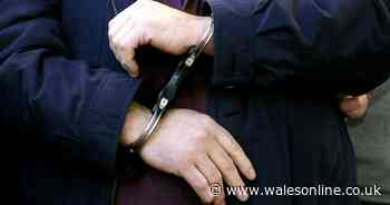 Man charged over alleged burglary and thefts in Treharris, Nelson and Quakers Yard - WalesOnline