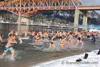 Nelson Polar Bear Swim 2022 postponed - The Nelson Daily