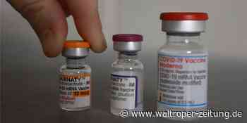 Coronavirus in Waltrop: Erneut ein Todesopfer – 77-Jährige stirbt - Waltroper Zeitung