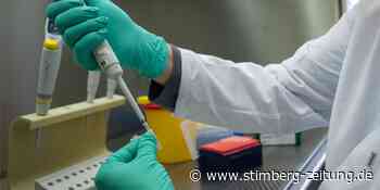 Jetzt zwei Omikron-Fälle in Waltrop nachgewiesen - Stimberg Zeitung