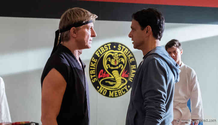 11 'Cobra Kai' Actors Who Reprised Roles from 'Karate Kid' Movies - See Every Star Who Returned!