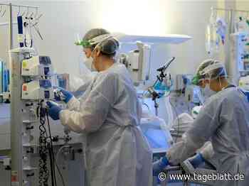 Omikron naht: Was hat das für Folgen? - Landkreis Stade - Tageblatt-online