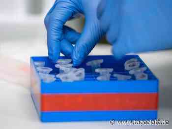 Inzidenz im Kreis Stade steigt überraschend stark - Landkreis Stade - Tageblatt-online