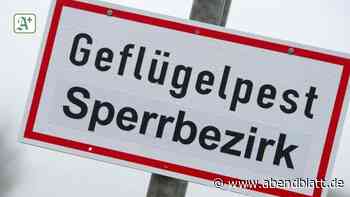 Geflügelpest breitet sich im Kreis Stade weiter aus - Hamburger Abendblatt