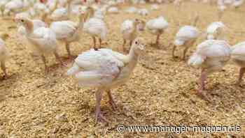 Greenpeace fordert höhere Mehrwertsteuer für Lebensmittel
