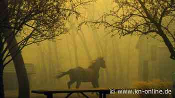 Waldbrände in Colorado: 30.000 Menschen müssen sich in Sicherheit bringen