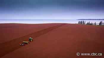 Canada from above: Drone photos in 2021