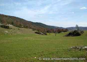 Capodanno anti Covid, tra solidarietà, divieti e trekking all'alba - AmbienteAmbienti