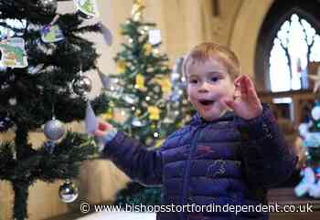 Visitors come from near and fir for Christmas tree festival - Bishop's Stortford Independent