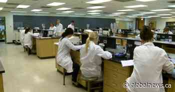 USask researchers’ projects aim to tackle COVID-19 pandemic issues - Globalnews.ca