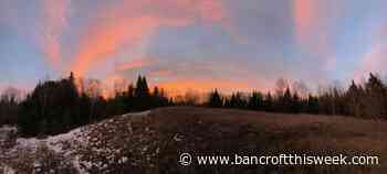 Celebrating 2022 and beyond | Bancroft this Week - Bancroft This Week