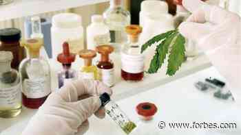America Still Hasn't Figured Out Medical Marijuana - Forbes