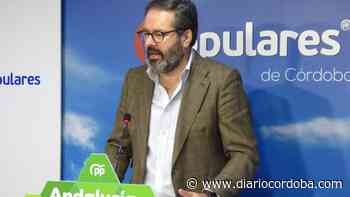 Molina afirma que el balance de Pedro Sánchez en 2021 es "arrogancia" y "mentiras" - Diario Córdoba