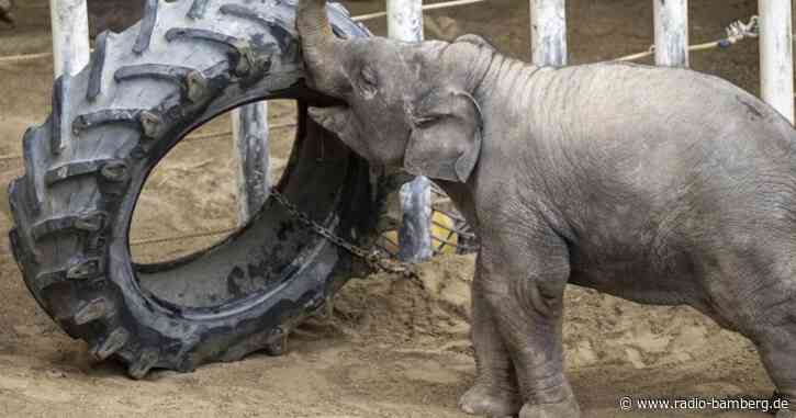 Zootiere freuen sich über Silvester-Ruhe