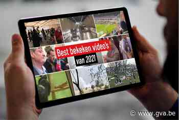 Seks op een altaar, een dansende Marc Van Ranst en een bizarre “verhouding” met een aap: bekijk hier de meest opvallende video's van 2021 - Gazet van Antwerpen