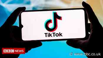 TikTok moderator sues over 'psychological trauma'