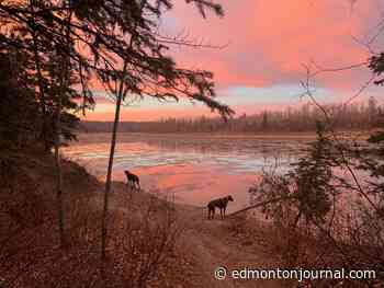 Year in Review: Shaughn Butts reflects on a year in photographs and one magical sunrise