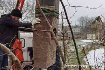 Wie ein Frankenberger zum Berliner Stadtschloss kam - Freie Presse