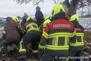 Feuerwehr muss Pferd vom Eis holen - Freie Presse