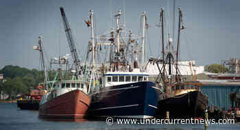 Gloucester to debut memorial for lives lost at sea - Undercurrent News