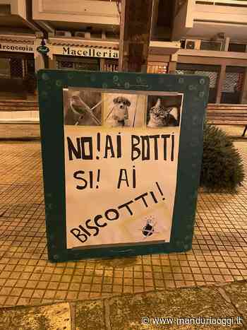 MANDURIA - L'appello degli animalisti manduriani per la notte di San Silvestro: «No ai botti, si ai biscotti» - ManduriaOggi