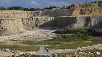 Bürgerinitiative sieht Naherholungsgebiet Plettenberg gefährdet - SWR