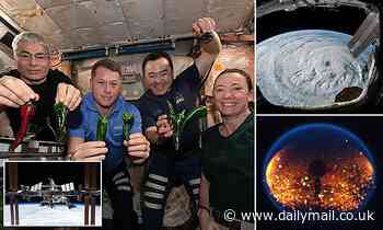 NASA reveals this year's best scientific experiments on the ISS