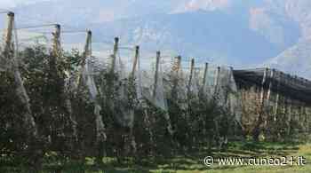 Cia Cuneo ricorda le scadenze di tre bandi del PSR a sostegno degli agricoltori - Cuneo24