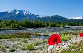 Quando a Cuneo scoppiò l'estate in pieno inverno: l'ondata di caldo del gennaio 2007 - Cuneodice.it