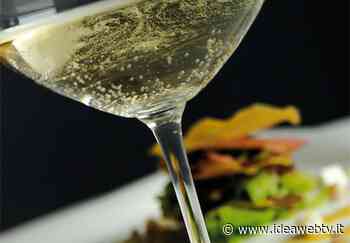 Coldiretti Cuneo: per i brindisi di capodanno scegliere i vini del nostro territorio - www.ideawebtv.it - Quotidiano on line della provincia di Cuneo - IdeaWebTv