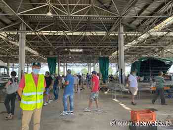 Cuneo: annullato il mercatino dei piccoli animali del 26 dicembre al MIAC - www.ideawebtv.it - Quotidiano on line della provincia di Cuneo - IdeaWebTv