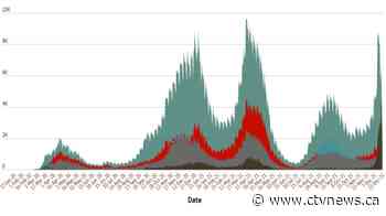 5 charts that explain how COVID-19 shaped our lives in 2021