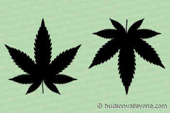 Town of Saugerties opts out of retail sales, consumption lounges; Village of Saugerties opts in - Hudson Valley One