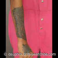 WARRANT: HENSON, ZHALAYSIA ZHANE - (2) Counts of Retail Theft (F3) - Dauphin County Crime Watch.