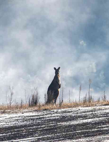 Australia – coping well tho’ natural mishaps loom