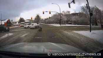 'It wasn't stopping': Woman hospitalized after hit-and-run crash in Victoria