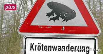 Lampertheim: Amphibienschutz wird verbessert - Echo Online