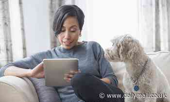 FCC launches program to give low-income Americans cheaper internet