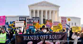 They Asked for 'Abortion Stories', But Pro-Life Community Gives Them Something Else to Think About
