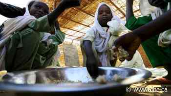 UN food agency suspends work in North Darfur following attacks