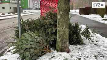Ludwigslust-Parchim: Erste Weihnachtsbäume haben schon ausgedient | svz.de - svz – Schweriner Volkszeitung