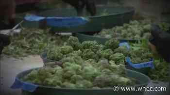 Friday marks deadline for localities to opt out of recreational marijuana