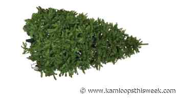 Need to get rid of your real Christmas tree in Kamloops? Here are some options - Kamloops This Week