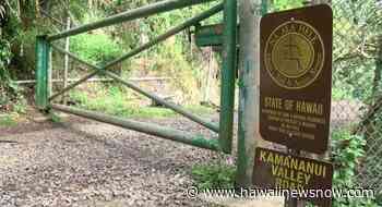 At least 9 hikers stranded on Moanalua Valley trail as weather conditions worsen - Hawaii News Now