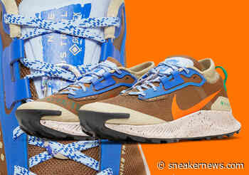 This Nike Zoom Pegasus Trail 3 GORE-TEX Is For True Hiking Lovers - Sneaker News