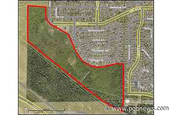 Parksville Wetlands trail development ready for next phase in early 2022 - Parksville Qualicum Beach News