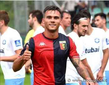 Cosenza, si può riaprire il dialogo con il Genoa per Flavio Bianchi - Tifo Cosenza